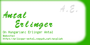 antal erlinger business card